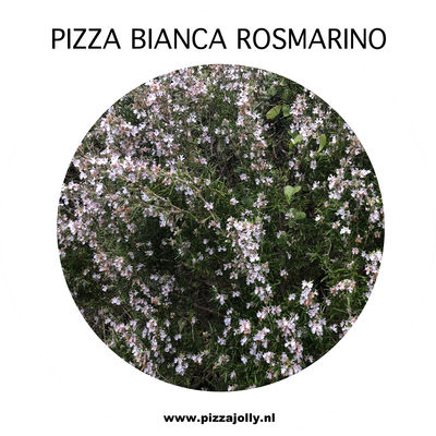 Pizza bianca rosmarino di PIZZAJOLLY